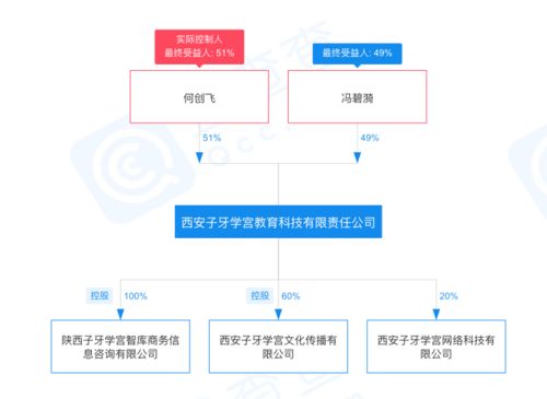 冯仑退出西安子牙学宫教育49 股权,其女冯碧漪接盘