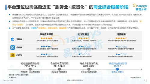 透视用户需求深挖服务潜力 2022中国商业查询行业洞察